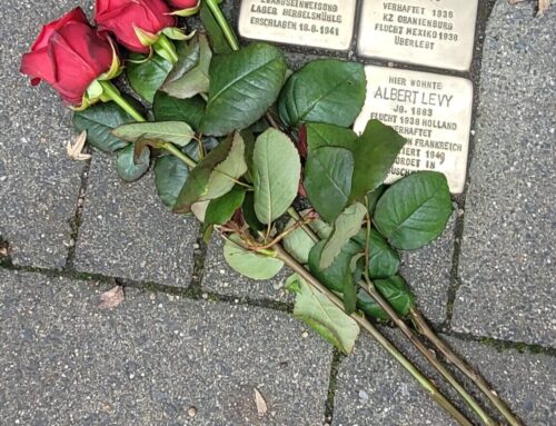 Die GHS Drimborn putzt Stolpersteine