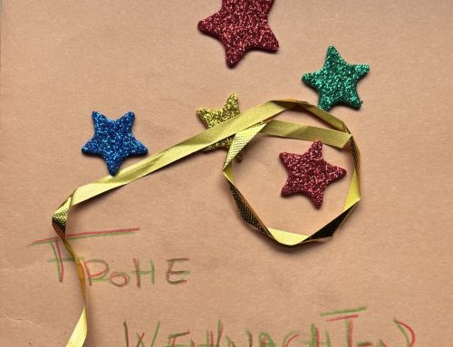 Ein Projekt mit unserer niederländischen Partnerschule: Teil 2